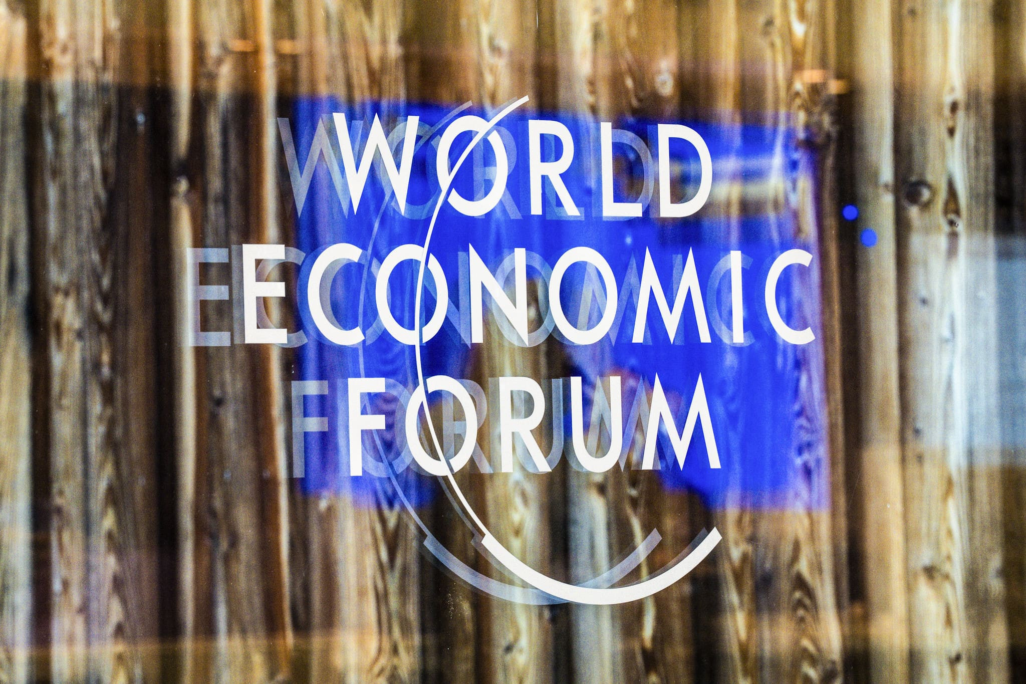 1738249564 wef 1 jpg 1