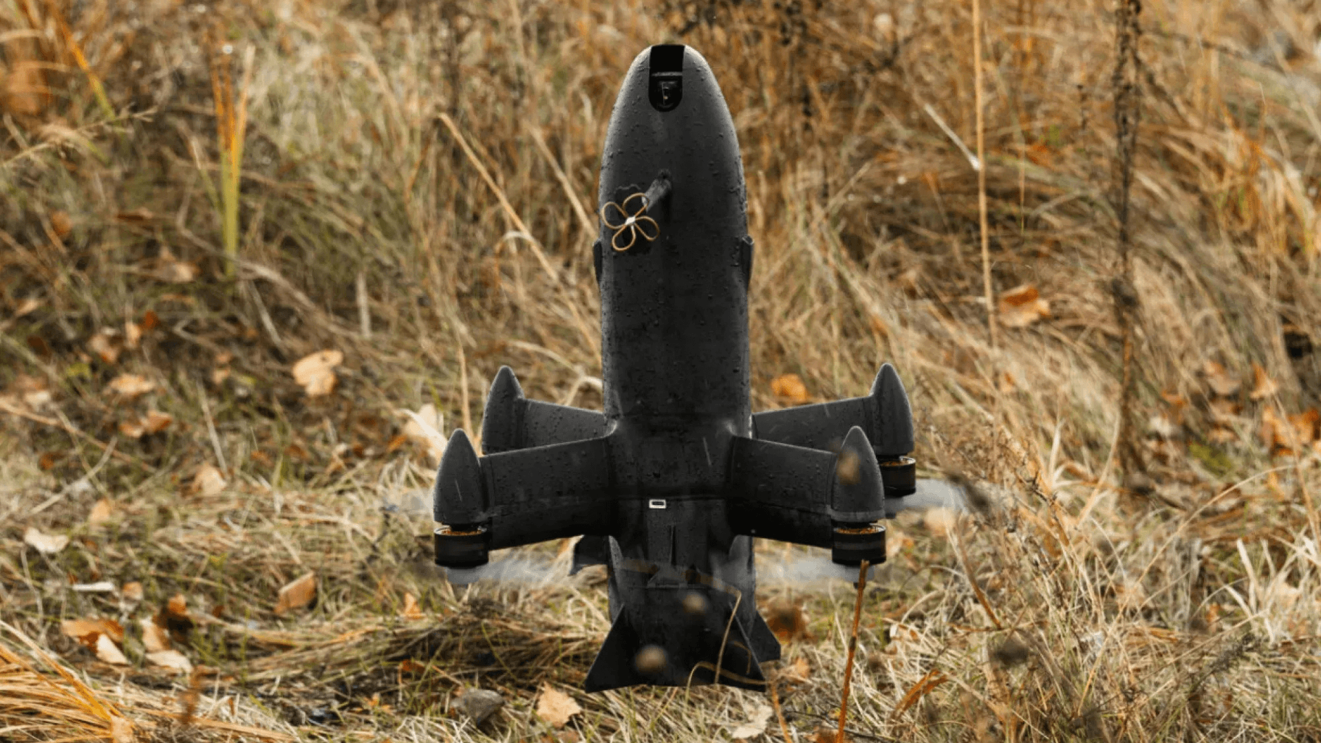 Dm 1